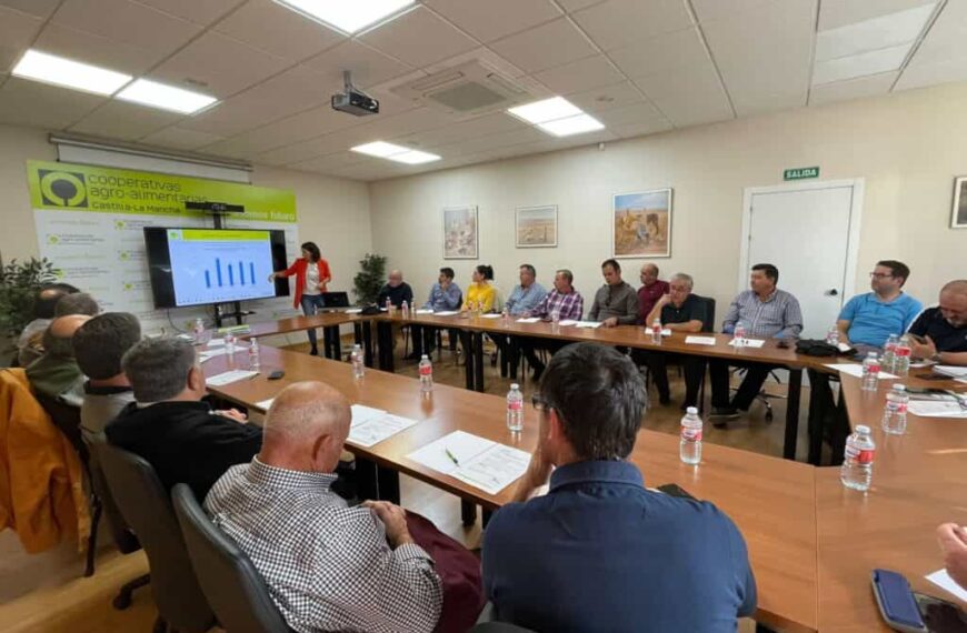 Cooperativas Agro-alimentarias prevé una cosecha de aceituna en Castilla-La Mancha un 25% inferior a la del pasado año