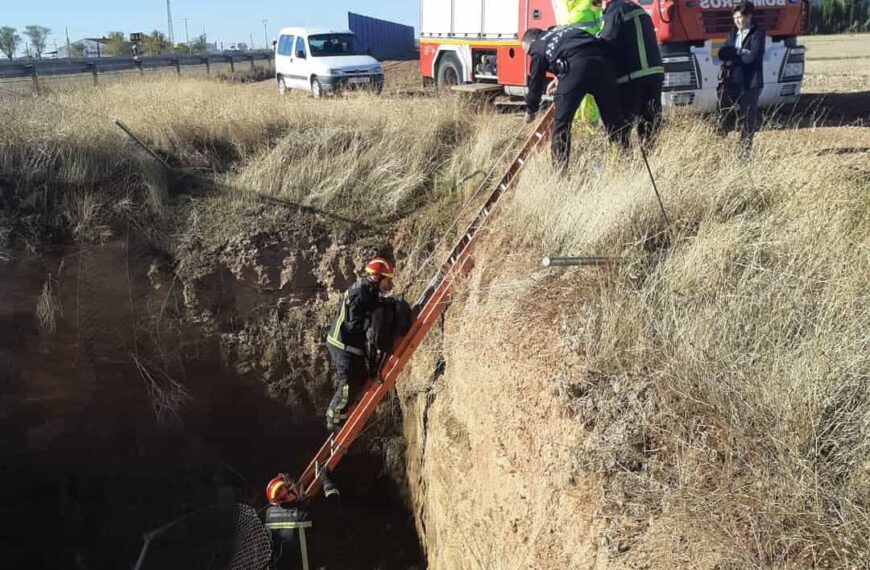 La Policía Local y los bomberos rescatan a un perro atrapado en un pozo de drenaje de la A43