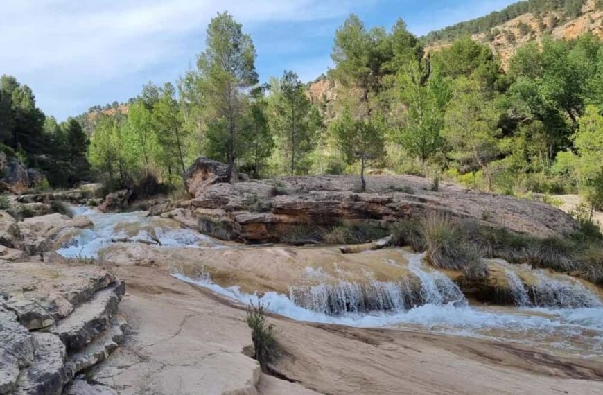 C-LM celebra el Día Internacional de las Reservas de la Biosfera con rutas interpretadas y concursos de dibujo