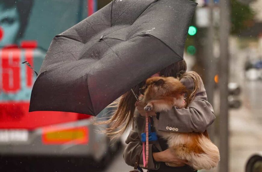 Castilla-La Mancha estará en alerta amarilla por viento este lunes