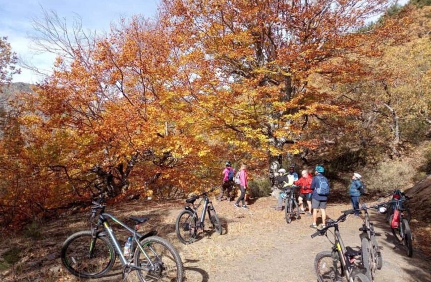 Más de 40 actividades permitirán disfrutar del otoño en Castilla-La Mancha a través del programa 'Vive tu Espacio'