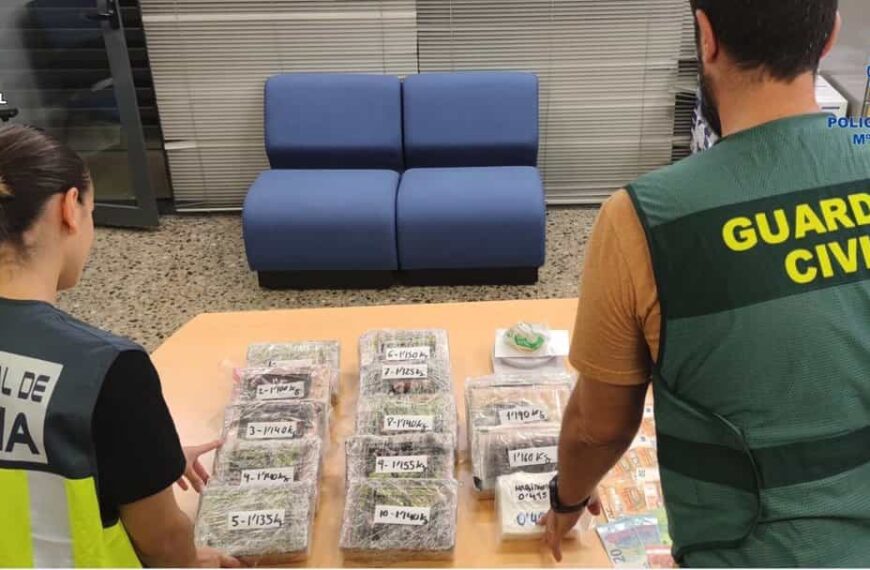 Ponen a disposición del juzgado de Almagro al CEO de una empresa que almacenaba marihuana en Valencia