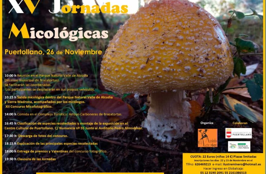 V Jornadas Micológicas de la asociación El Ilustre Minero de Puertollano este sábado 26 de noviembre