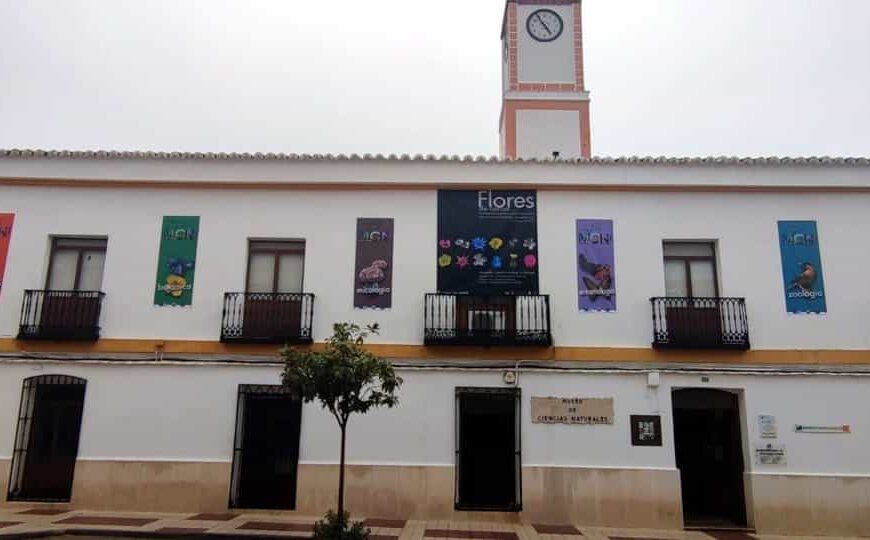 Micólogos y aficionados a las setas participan desde este sábado en las XXXIII Jornadas de Viso del Marqués