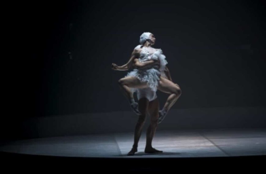 ‘El lago’ con la compañía LaMov cerrará la programación cultural de diciembre este viernes a las 20 horas en el Gran Teatro de Manzanares