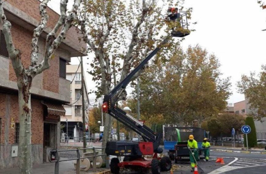 Trabajos de poda en calles de Ciudad Real el próximo 9 de diciembre de 08:00 a 18:00 horas