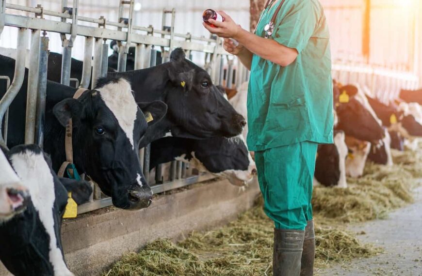 García Alía destaca el papel de los veterinarios rurales en el control de todos los alimentos que llegan al consumidor