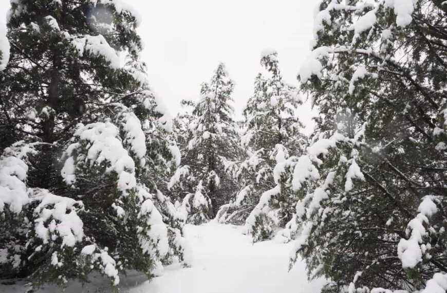 Activada fase de alerta ante la tormenta invernal de nieve y viento ¿Filomena 2?