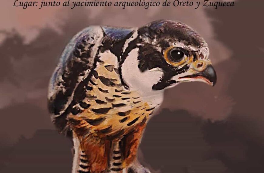 Granátula de Calatrava acogerá el Tercer Trofeo Versátil de Cetrería de pequeñas rapaces