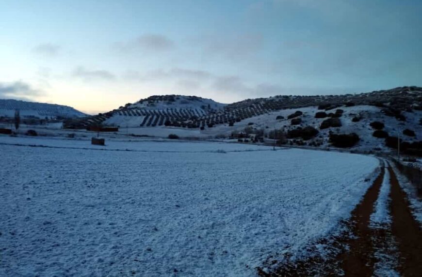 El municipio de Carrizosa amanece nevado por tercer año consecutivo