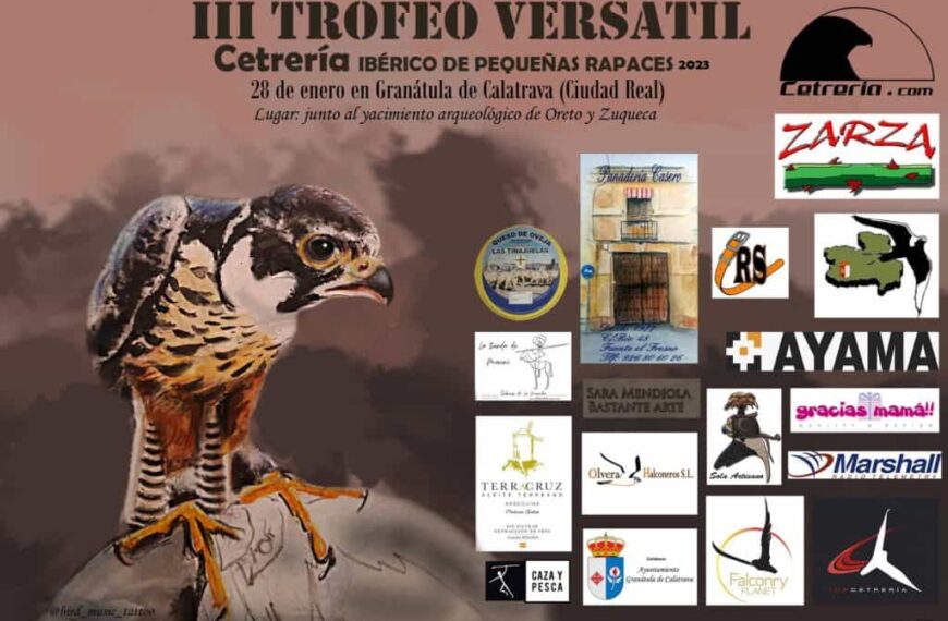 Granátula de Calatrava acoge el Tercer Trofeo Versátil de Cetrería de pequeñas rapaces el sábado 28 de enero