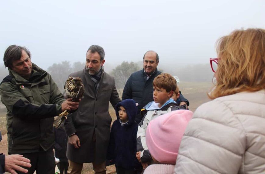 Ejemplar de Busardo Ratonero Liberado en Ermita de San Isidro de Ballesteros de Calatrava