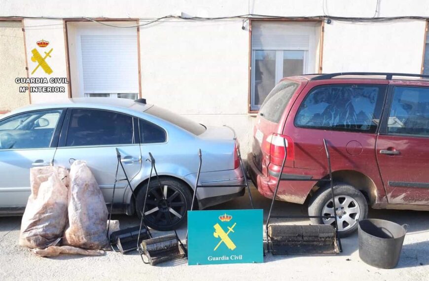 Intervenidos 6.000 kilogramos de aceitunas que fueron sustraídas en la zona sur de la provincia de Toledo