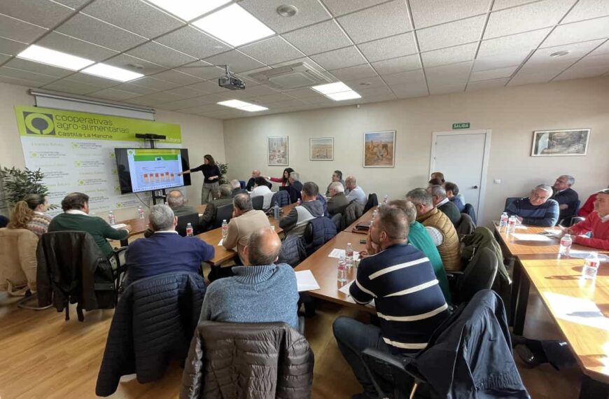 Cooperativas Agro-alimentarias hace balance de la campaña de aceituna en Castilla-La Mancha con una producción un 50% inferior a la anterior