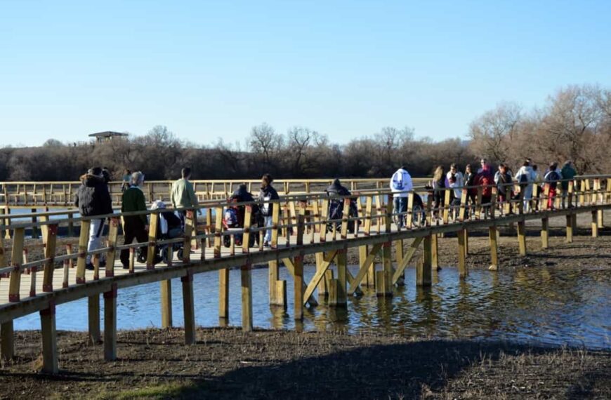 Dia mundial de los Humedales, accesibilidad en las Tablas de Daimiel