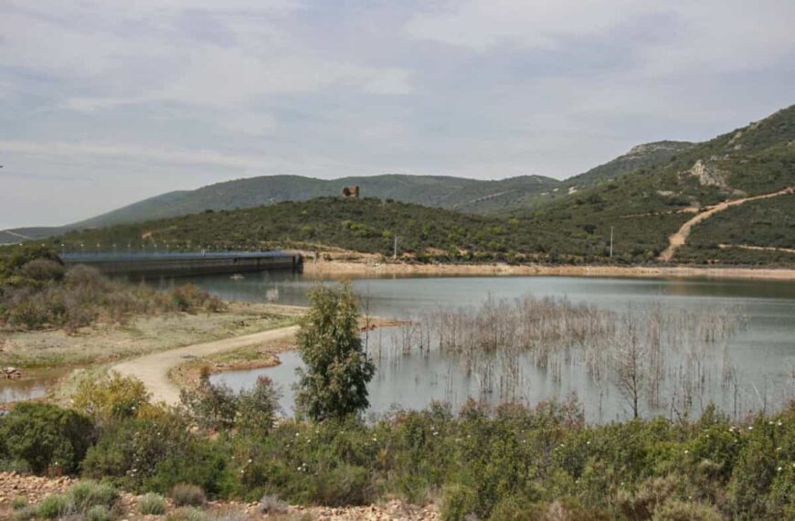 La Diputación de Ciudad Real concede una subvención a la Asociación Cuas Mancha Occidental para la campaña educativa “El agua es vida, optimízala”