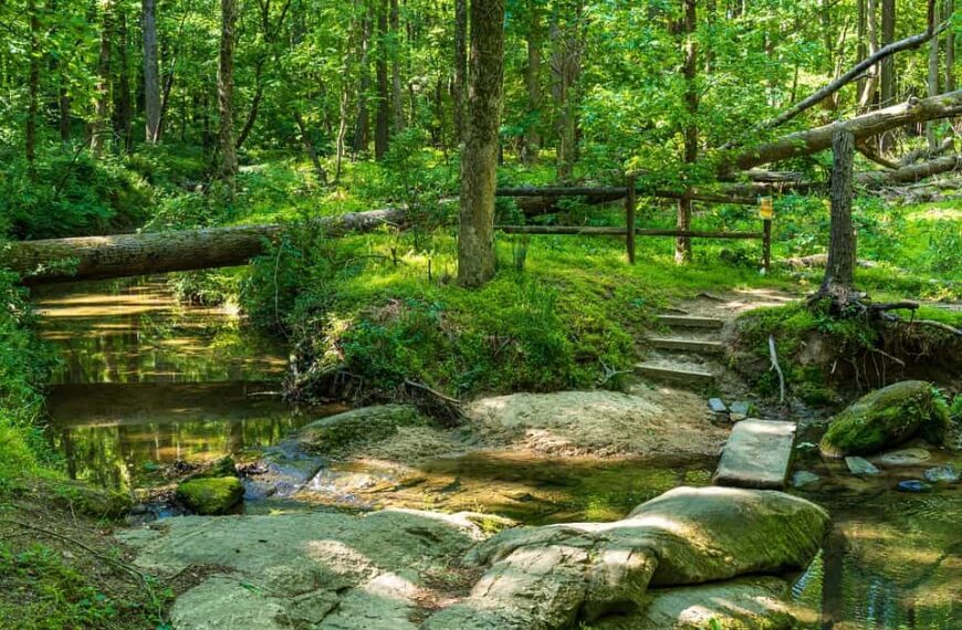 Durante esta legislatura, las bibliotecas públicas municipales recibieron más de 6,3 millones de euros en apoyo de modernización por parte del Gobierno regional.
