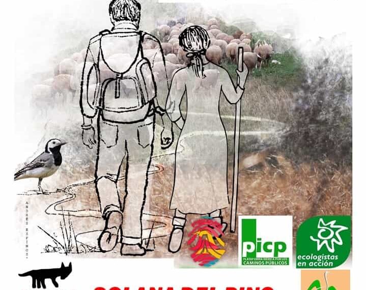 Ciudad Real se suma a la reivindicación del día de las vías pecuarias y los caminos