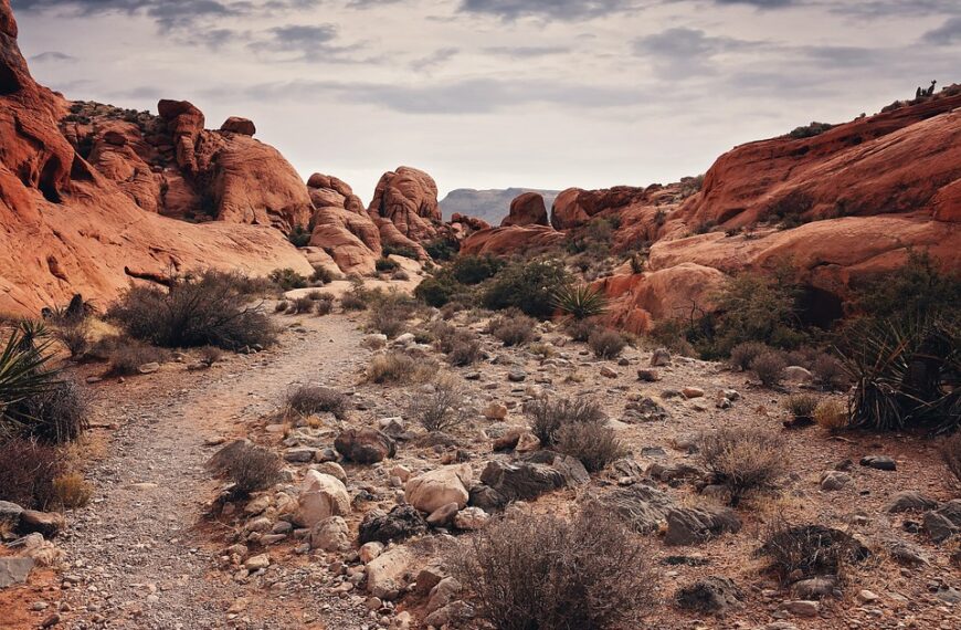 Las siete principales ciudades de Castilla-La Mancha reciben más de 401 millones de euros para fomentar el empleo, la formación y el emprendimiento gracias al gobierno regional.