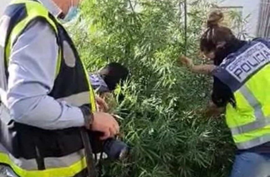 Seis detenidos tras caer 'telecoca', un punto que distribuía droga en bici o patinete eléctrico en Valdepeñas