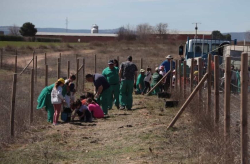 Los colegios de Manzanares celebran el Día del Árbol 2023 con una actividad organizada por el ayuntamiento en la Vereda de Siles