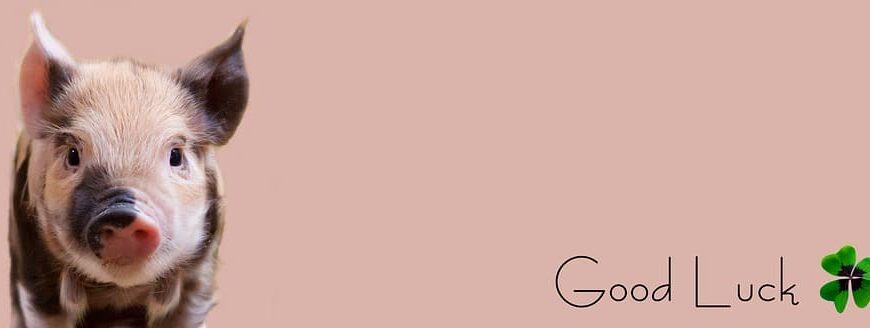 Cuatro nuevos grados serán implantados el próximo curso tras obtener el visto bueno de la ANECA, lo que el Gobierno regional celebra.