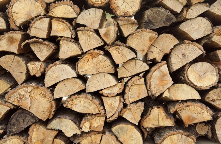 El sector primario es la prioridad del Gobierno de Castilla-La Mancha, afirma el presidente García-Page