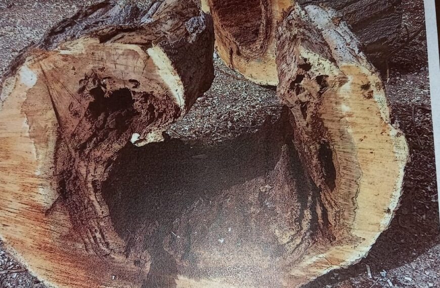 El Ayuntamiento de Villarrubia de los Ojos realiza una mejora de urgencia en la Avda. Cristo Rey