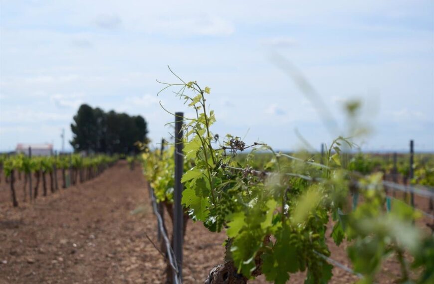 Las exportaciones de Castilla-La Mancha aumentan un 7,5% y superan los 2.503 millones de euros en el primer trimestre del año en comparación con el año anterior.