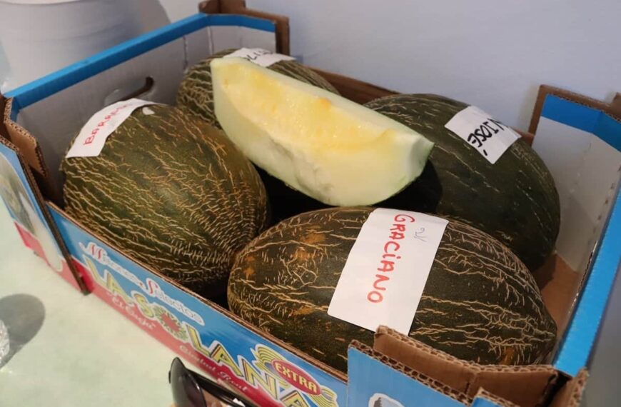 Una cata de melón piel de sapo dirigida por el presidente de la Lonja Hortofrutícola se celebró en Fercam 2023 en Manzanares