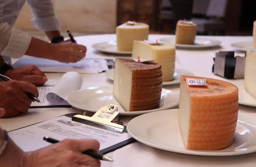 Presentadas 38 muestras de 20 empresas queseras al 33º Concurso Regional de Calidad de Quesos Manchegos en Manzanares