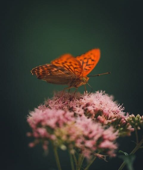Castilla-La Mancha alcanza su récord de empleo histórico con 890.500 personas ocupadas y el nivel de paro más bajo en 15 años