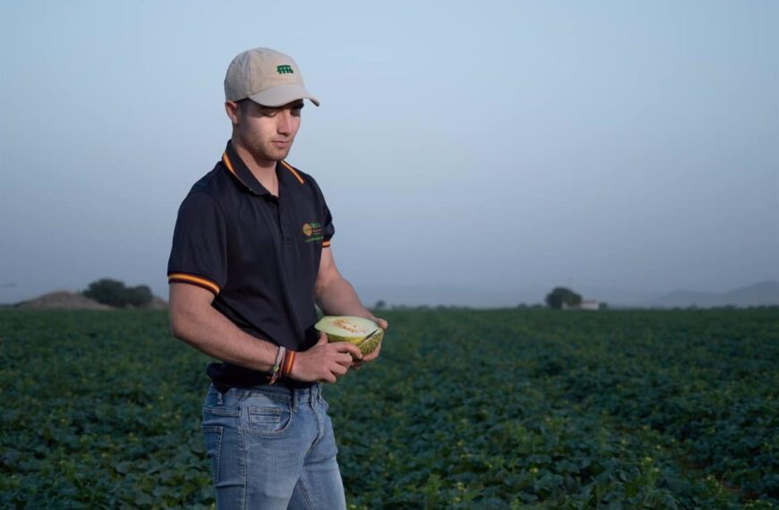 Expectativas favorables para la próxima temporada de melón y sandía en La Mancha: alta calidad y precios competitivos.