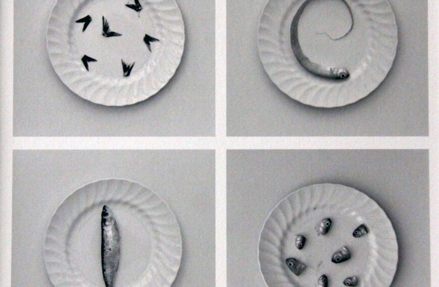 Ganadores del XXIII Certamen de Fotografía “Ciudad de Tomelloso 2023” los premios se entregarán el 30 de agosto