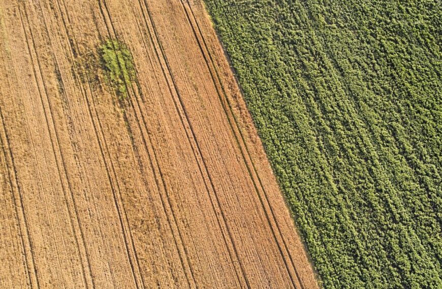 El PP se compromete a impulsar una subida urgente en la renta agraria para hacer frente a la difícil situación del campo