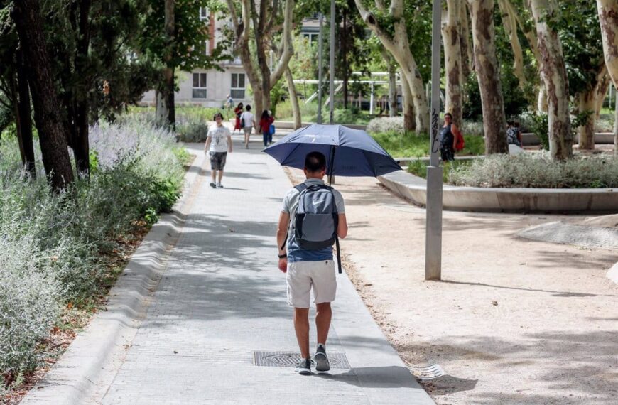 Medidas extremas: C-LM concentra el Meteocam en Albacete por altas temperaturas en Hellín y Almansa