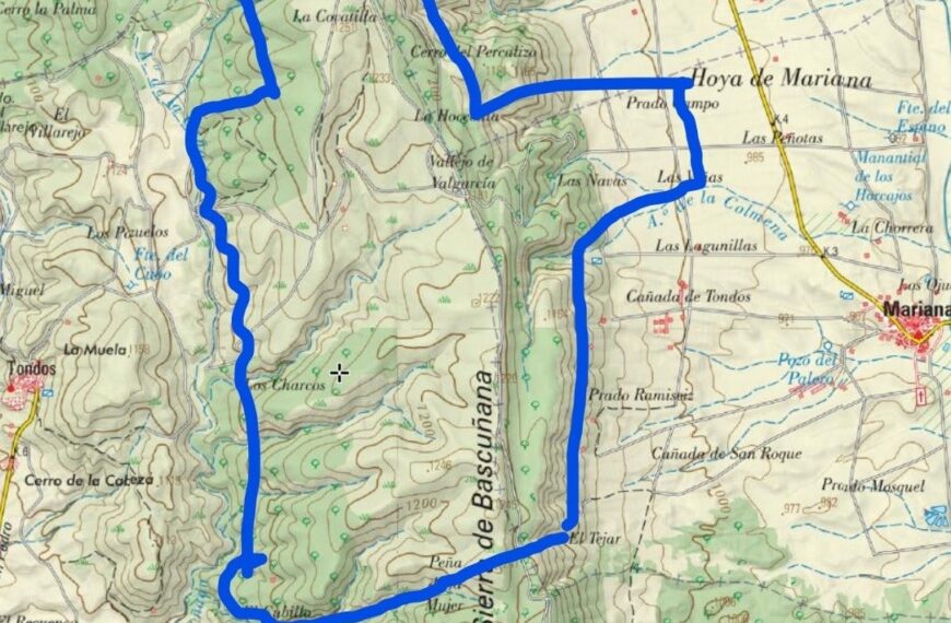 Denuncian la privatización encubierta del monte público a medida de Toro Verde