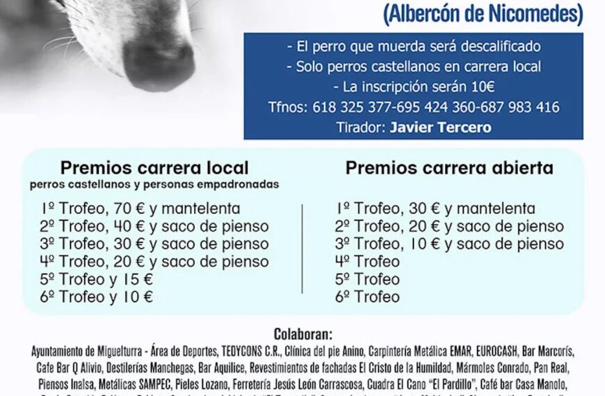 Gran carrera de galgos especial en la Feria y Fiestas de Miguelturra 2023 el 9 de septiembre en el albercón de Nicomedes