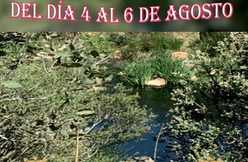 “Fiestas del agua” en El Villar de Puertollano del 4 al 6 de agosto con noches de verbena y actividades infantiles