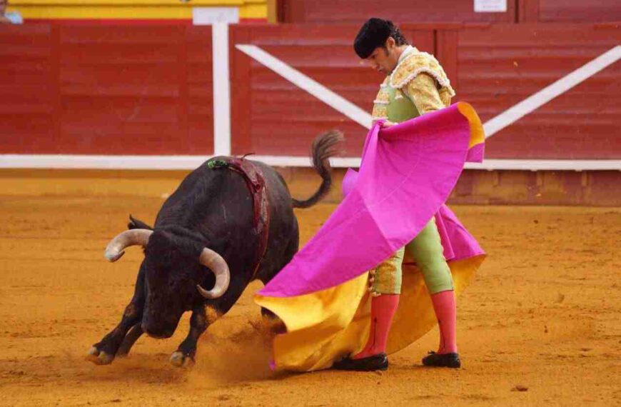 Rechazan crear una escuela taurina en Ciudad Real con apoyo institucional