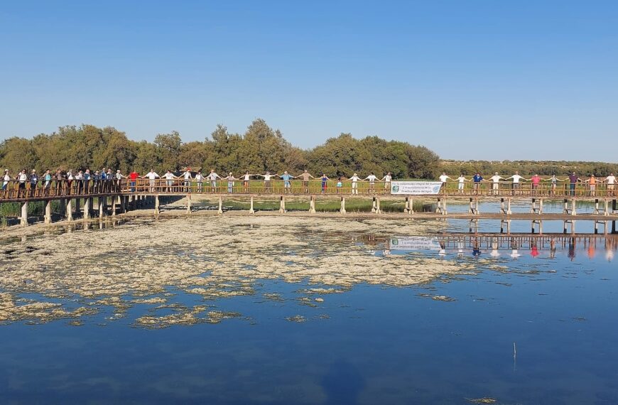 Medio centenar de personas abrazan el agua en el Parque Nacional de Las Tablas de Daimiel