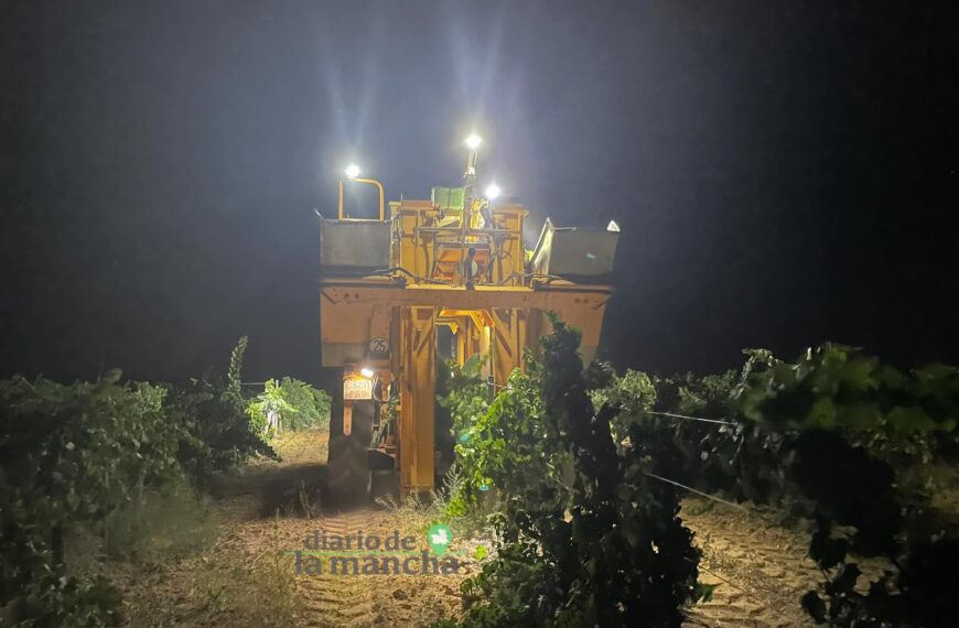 La vendimia 2023 arranca con fuerza en DO La Mancha