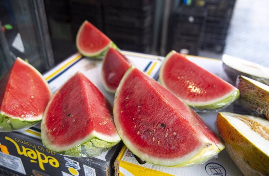 Campaña de melón y sandía en Castilla-La Mancha: avance de la recolección y perspectivas de producción