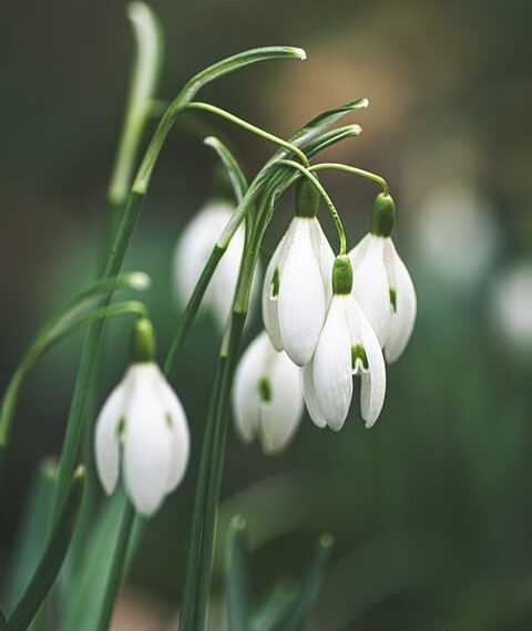 Comienza la estancia de alumnos del tercer curso del Grado de Medicina de la UCLM en el Hospital Universitario de Toledo