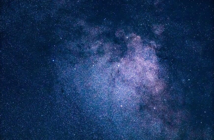 La exposición ‘Atempora, un legado de más de 350.000 años’ se extenderá hasta finales del mes de diciembre gracias a la ampliación de su apertura por parte del Gobierno regional.