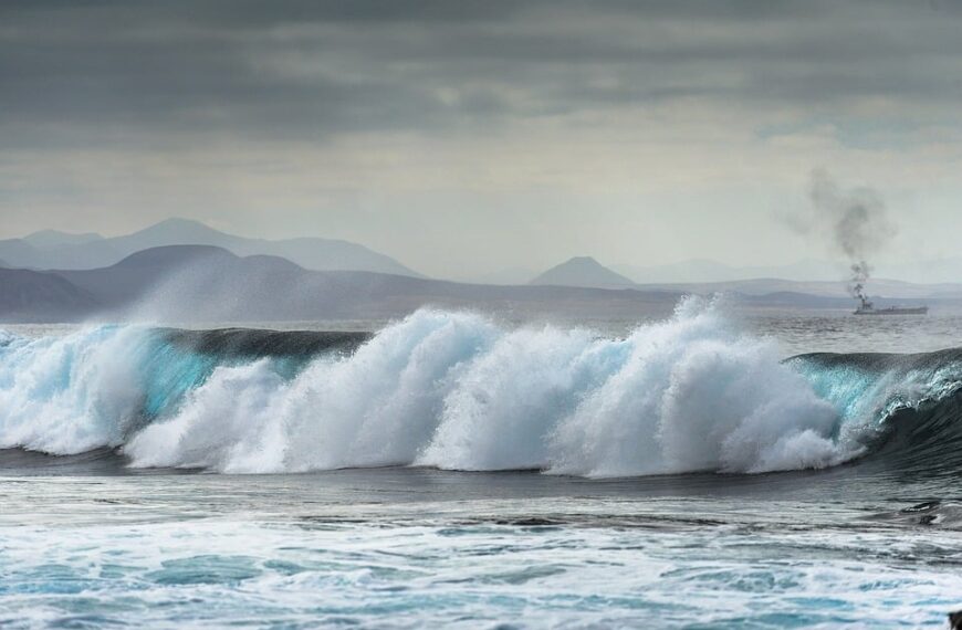 Blanca Fernández impulsa la inclusión de 500 mujeres en el campo y la empresa rural en Ciudad Real