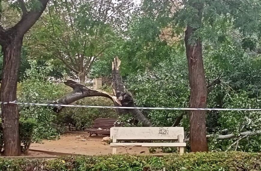 Desactivan el Plan Meteocam tras lluvias y viento en Castilla-La Mancha