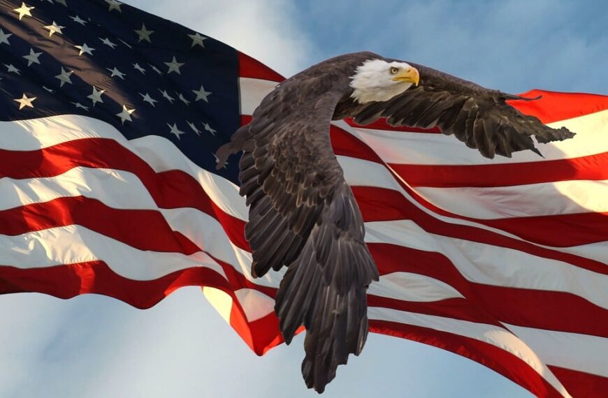 El Gobierno regional asigna fondos a 204 bibliotecas públicas municipales de Castilla-La Mancha para mejorar su equipamiento.