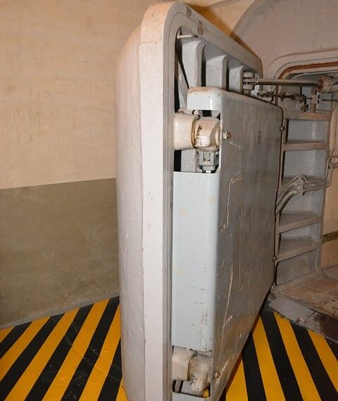 El Gobierno regional destina 250.000 euros en ayudas a 246 bibliotecas de Castilla-La Mancha para adquirir nueva bibliografía.