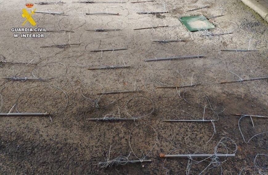 Imputado en Ciudad Real por instalación de trampas prohibidas en área crítica para la conservación del Águila Imperial y el Buitre Negro